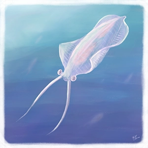 ネクトカリスのイラスト