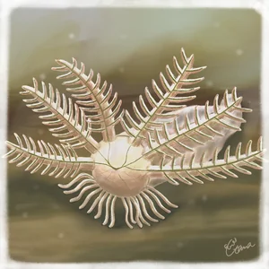 ユージンギア(Yujingia glutenotunica)のイラスト